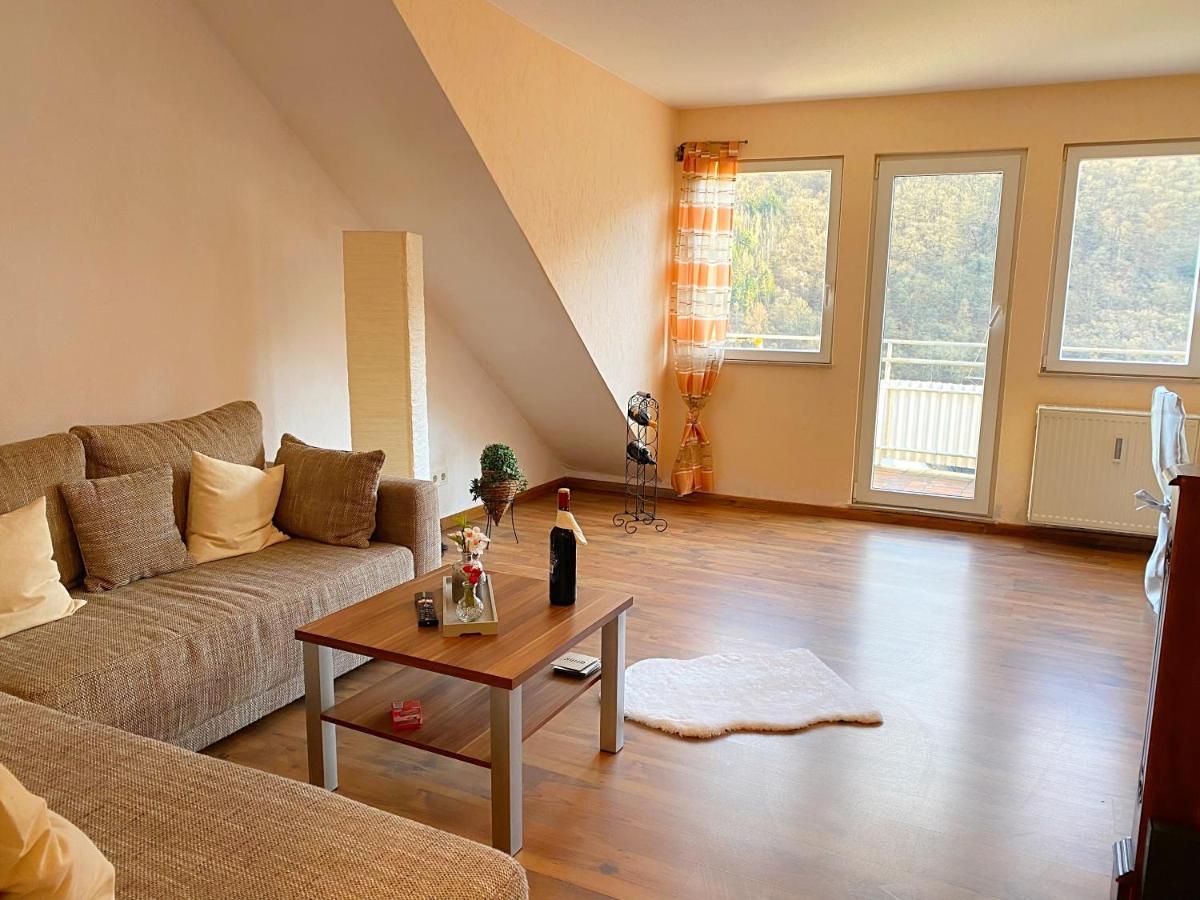 Schoene Fewo Moselblick Wlan Netflix Freizeitpark Apartman Klotten Kültér fotó